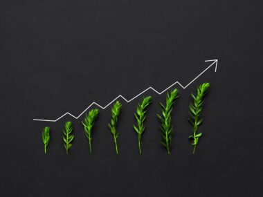 Why Underpricing and Overselling Hurt Your Freelance Brand